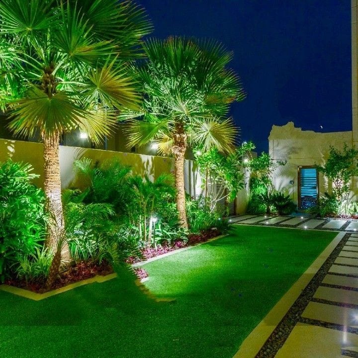 صورة توضيحية